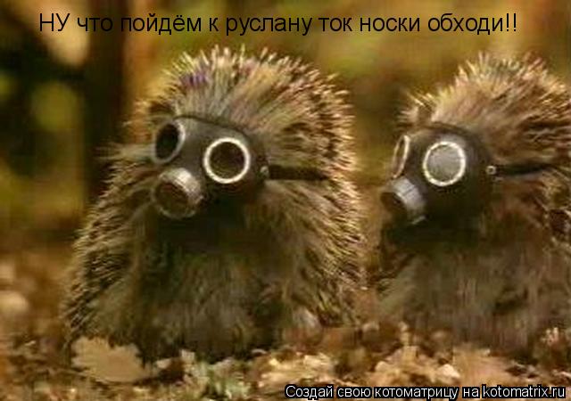 Котоматрица: НУ что пойдём к руслану ток носки обходи!!