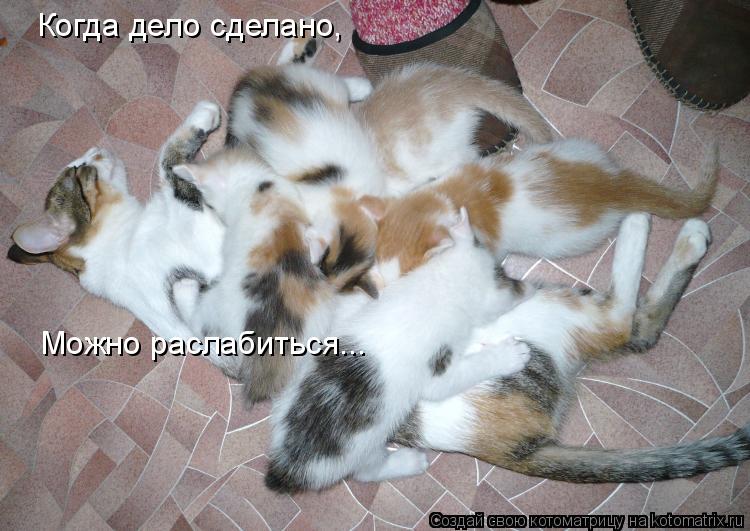 Когда дело сделано, Можно раслабиться...... Котоматрица: Когда дело сделано, Можно раслабиться...
