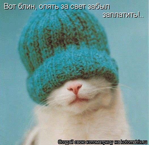 Котоматрица: Вот блин, опять за свет забыл  заплатить!..