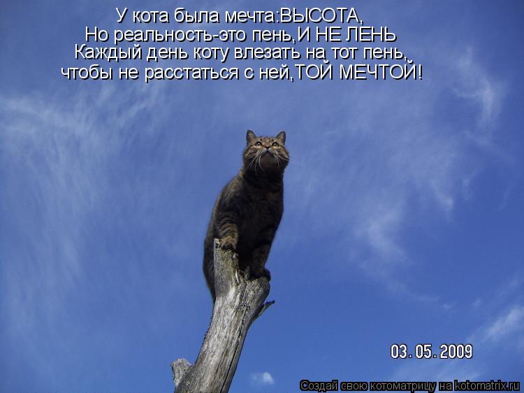 У кота была мечта:ВЫСОТА, Но реальность-это пень,И НЕ ЛЕНЬ Каждый день коту влезать на тот пень, чтоб... Котоматрица: У кота была мечта:ВЫСОТА, Но реальность-это пень,И НЕ ЛЕНЬ Каждый день коту влезать на тот пень, чтобы не расстаться с ней,ТОЙ МЕЧТОЙ!