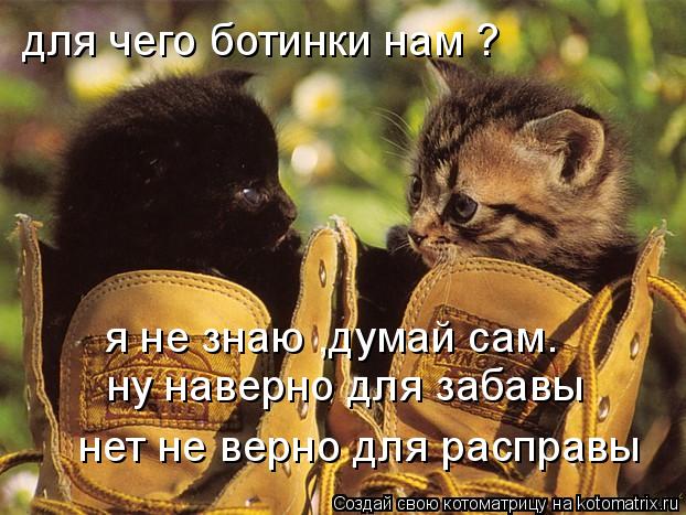 для чего ботинки нам ? я не знаю ,думай сам. ну наверно для забавы нет не верно для расправы... Котоматрица: для чего ботинки нам ? я не знаю ,думай сам. ну наверно для забавы нет не верно для расправы