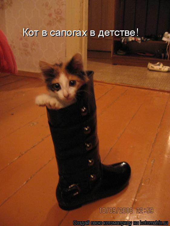 Кот в сапогах в детстве!... Котоматрица: Кот в сапогах в детстве!