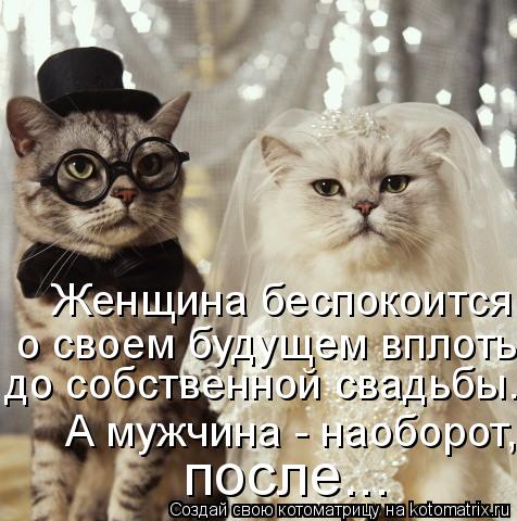 Котоматрица: Женщина беспокоится  о своем будущем вплоть до собственной свадьбы. А мужчина, наоборот, после.  до собственной свадьбы. А мужчина, наоборот,