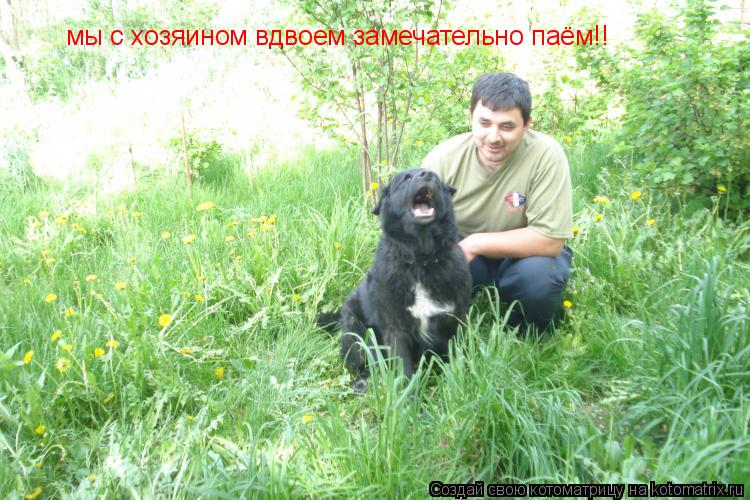 Котоматрица: мы с хозяином вдвоем замечательно паём!!