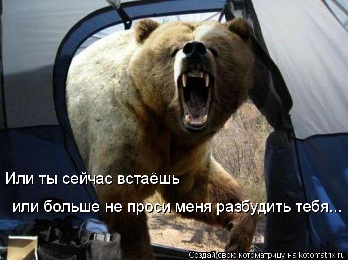 Или ты сейчас встаёшь или больше не проси меня разбудить тебя...... Котоматрица: Или ты сейчас встаёшь или больше не проси меня разбудить тебя...