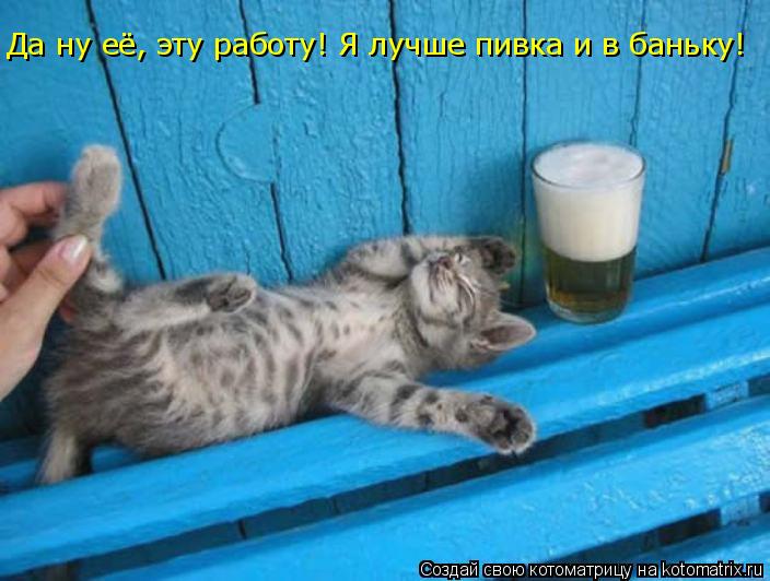 Да ну её, эту работу! Я лучше пивка и в баньку!... Котоматрица: Да ну её, эту работу! Я лучше пивка и в баньку!