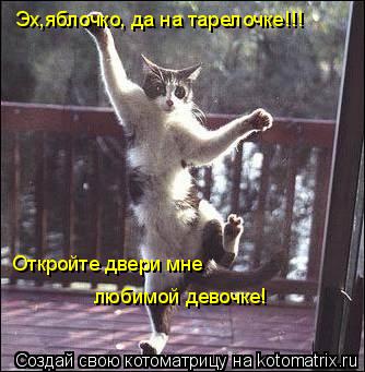 Котоматрица: Эх,яблочко, да на тарелочке!!! Откройте двери мне любимой девочке!
