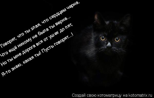 Котоматрица: Говорят, что ты злая, что сердцем черна, Что ещё никому не была ты верна... Но ты мне дорога вся от ушек до пят, Я-то знаю, какая ты! Пусть говоря