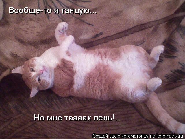 Котоматрица: Вообще-то я танцую... Но мне таааак лень!..