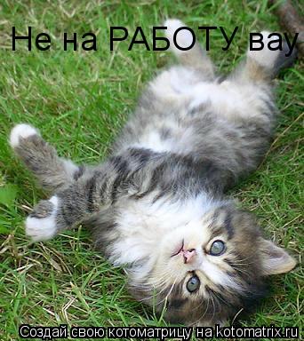 Не на РАБОТУ вау ой мяу!!!... Котоматрица: Не на РАБОТУ вау ой мяу!!!