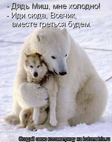 Котоматрица: - Дядь Миш, мне холодно! - Иди сюда, Вовчик, вместе греться будем.