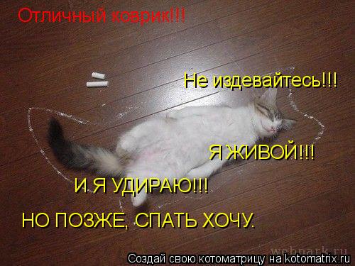 Отличный коврик!!! Не издевайтесь!!! Я ЖИВОЙ!!! И Я УДИРАЮ!!! НО ПОЗЖЕ, СПАТЬ ХОЧУ.... Котоматрица: Отличный коврик!!! Не издевайтесь!!! Я ЖИВОЙ!!! И Я УДИРАЮ!!! НО ПОЗЖЕ, СПАТЬ ХОЧУ.