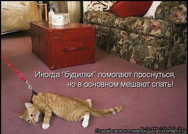 Котоматрица: Иногда "будилки" помогают проснуться,  но в основном мешают спать!