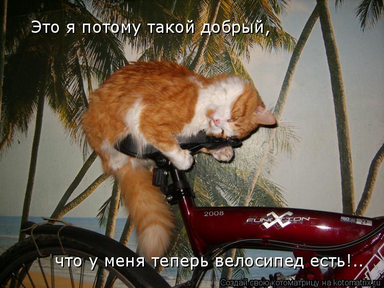 Котоматрица: Это я потому такой добрый, что у меня теперь велосипед есть!..