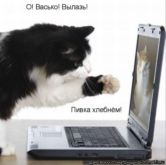 Котоматрица: О! Васько! Вылазь!  Пивка хлебнём!