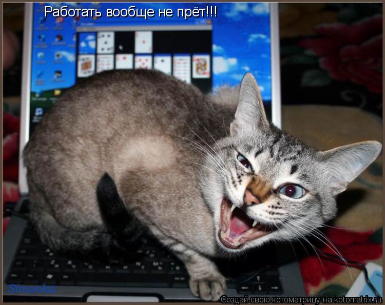 Котоматрица: Работать вообще не прёт!!!