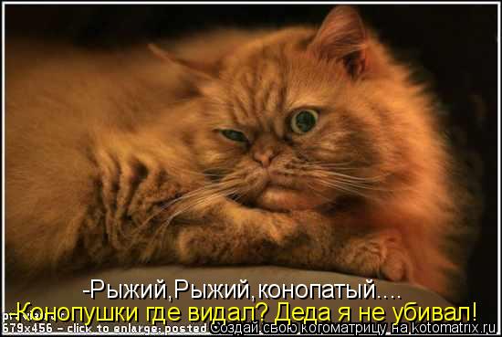 -Конопушки где видал? Деда я не убивал! -Рыжий,Рыжий,конопатый....... Котоматрица: -Конопушки где видал? Деда я не убивал! -Рыжий,Рыжий,конопатый....