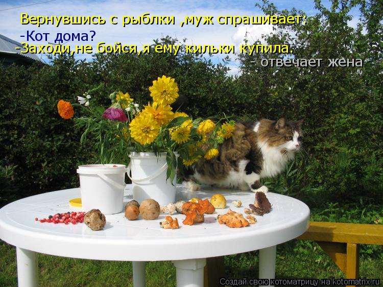 Котоматрица: Вернувшись с рыблки ,муж спрашивает: -Кот дома? -Заходи,не бойся,я ему кильки купила.  - отвечает жена