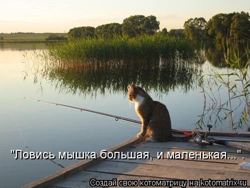Котоматрица: "Ловись мышка большая, и маленькая...".