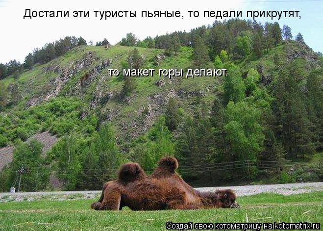 Достали эти туристы пьяные, то педали прикрутят, то макет горы делают.... Котоматрица: Достали эти туристы пьяные, то педали прикрутят, то макет горы делают.
