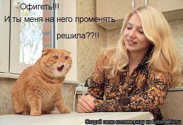 Котоматрица: Офигеть!!! И ты меня на него променять  решила??!!