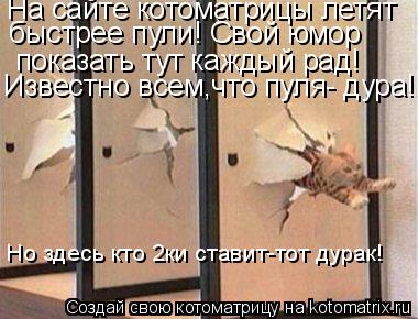 Котоматрица: На сайте котоматрицы летят быстрее пули! Свой юмор  показать тут каждый рад! Известно всем,что пуля- дура! Но здесь кто 2ки ставит-тот дурак!