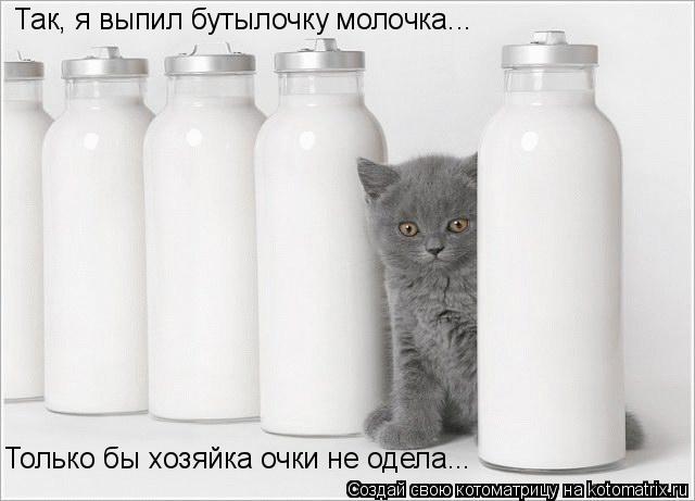 Котоматрица: Так, я выпил бутылочку молочка... Только бы хозяйка очки не одела...