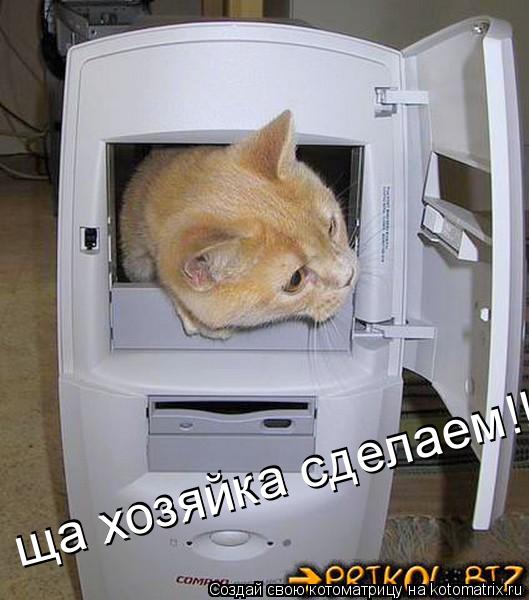 Котоматрица: ща хозяйка сделаем!!! ща хозяйка сделаем!!!