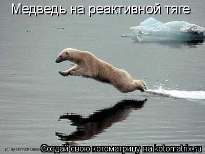 Медведь на реактивной тяге... Котоматрица: Медведь на реактивной тяге