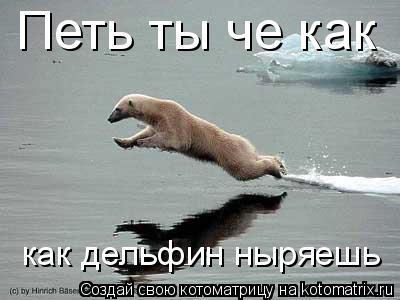Котоматрица: Петь ты че как дельфин ныряешь Петь ты че как  как дельфин ныряешь