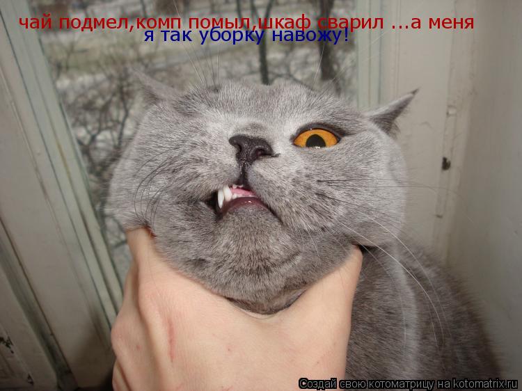 Котоматрица: чай подмел,комп помыл,шкаф сварил ...а меня я так уборку навожу! я так уборку навожу!