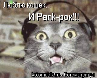 Котоматрица: Люблю кошек... И Pank-рок!!!