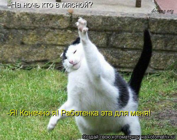 Котоматрица: -На ночь кто в мясной? -Я! Конечно я! Работенка эта для меня!
