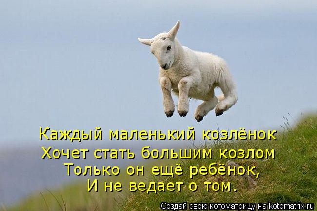Каждый маленький козлёнок Хочет стать большим козлом Только он ещё ребёнок, И не ведает о том.... Котоматрица: Каждый маленький козлёнок Хочет стать большим козлом Только он ещё ребёнок, И не ведает о том.