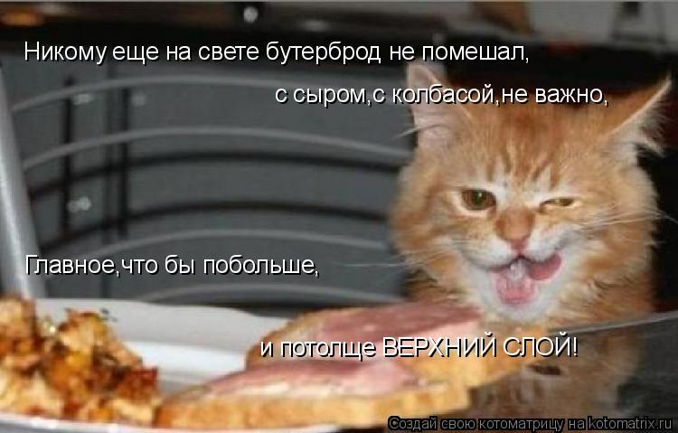 Никому еще на свете бутерброд не помешал, с сыром,с колбасой,не важно, Главное,что бы побольше, и по... Котоматрица: Никому еще на свете бутерброд не помешал, с сыром,с колбасой,не важно, Главное,что бы побольше, и потолще ВЕРХНИЙ СЛОЙ!