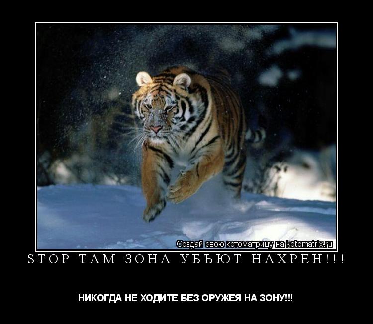 STOP ТАМ ЗОНА УБЪЮТ НАХРЕН!!! НИКОГДА НЕ ХОДИТЕ БЕЗ ОРУЖЕЯ НА ЗОНУ!!!... Котоматрица: STOP ТАМ ЗОНА УБЪЮТ НАХРЕН!!! НИКОГДА НЕ ХОДИТЕ БЕЗ ОРУЖЕЯ НА ЗОНУ!!!