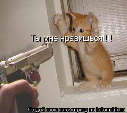 Котоматрица: Ты мне нравишься!!!!