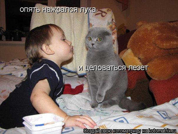 Котоматрица: опять нажрался лука и целоваться лезет