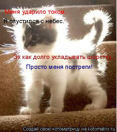 Котоматрица: Меня ударило током, Я спустился с небес. Эх как долго укладывать шорстку... Просто меня постреги!