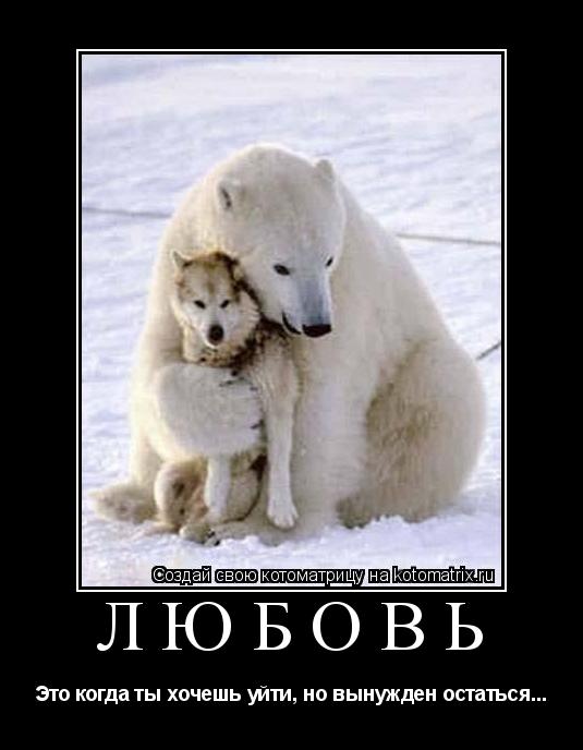 Любовь Это когда ты хочешь уйти, но вынужден остаться...... Котоматрица: Любовь Это когда ты хочешь уйти, но вынужден остаться...