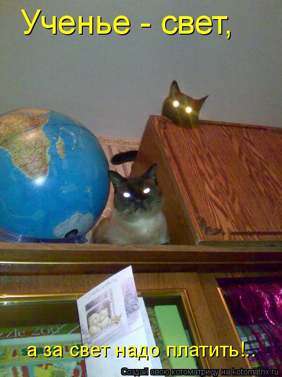 Котоматрица: Ученье - свет, а за свет надо платить!..