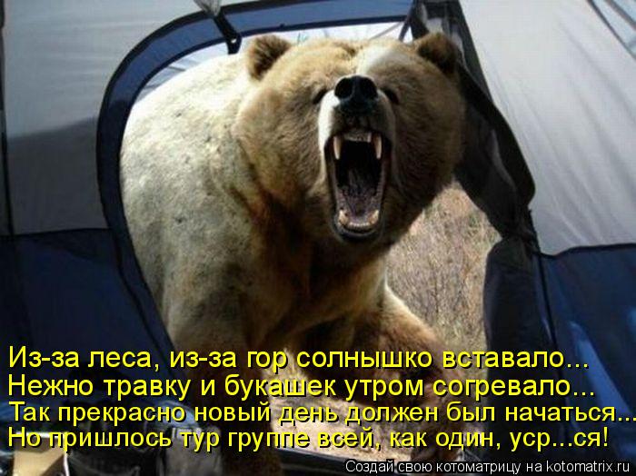 Котоматрица: Из-за леса, из-за гор солнышко вставало... Нежно травку и букашек утром согревало... Так прекрасно новый день должен был начаться... Но пришлос