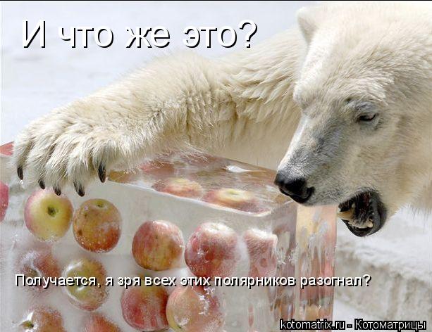 Котоматрица: И что же это? Получается, я зря всех этих полярников разогнал?