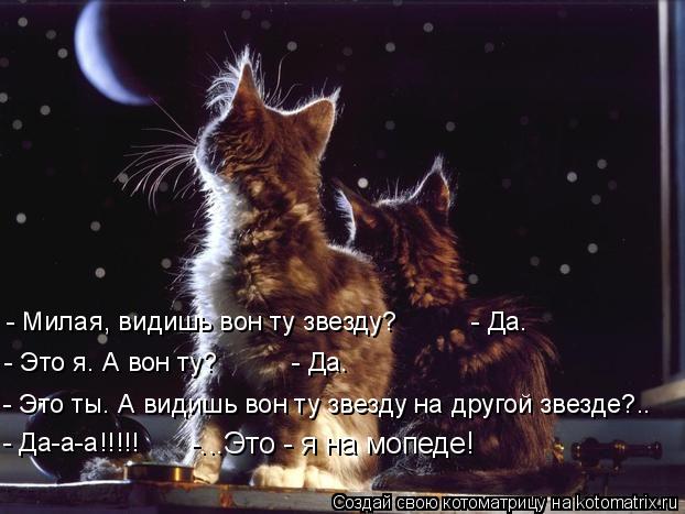 - Милая, видишь вон ту звезду? - Да. - Это я. А вон ту? - Да. - Это ты. А видишь во... Котоматрица: - Милая, видишь вон ту звезду? - Да. - Это я. А вон ту? - Да. - Это ты. А видишь вон ту звезду на другой звезде?.. - Да-а-а!!!!! -..