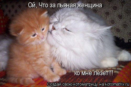 Ой, Что за пьяная женщина ко мне лезет!!!... Котоматрица: Ой, Что за пьяная женщина ко мне лезет!!!