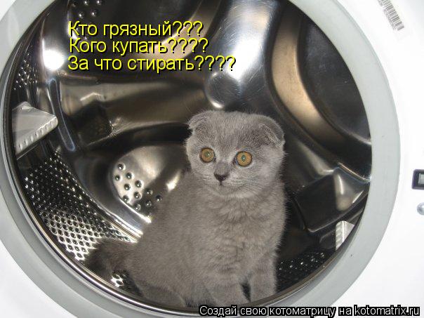 Кто грязный??? Кого купать???? За что стирать????... Котоматрица: Кто грязный??? Кого купать???? За что стирать????