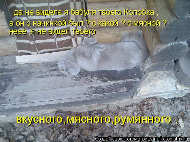 да не видела я бабуля твоего Колобка , а он с начинкой был ? с какой ? с мясной ? неее ,я не видел тв... Котоматрица: да не видела я бабуля твоего Колобка , а он с начинкой был ? с какой ? с мясной ? неее ,я не видел твоего вкусного,мясного,румянного .