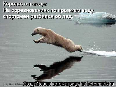 Котоматрица: Коротко о погоде: На соревнованиях по прыжкам воду спортсмен разбился об лед.