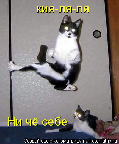 кия-ля-ля Ни чё себе... Котоматрица: кия-ля-ля Ни чё себе
