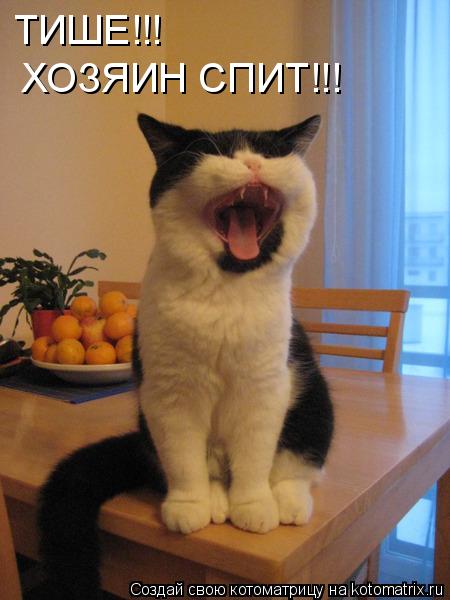 Котоматрица: ТИШЕ!!! ХОЗЯИН СПИТ!!!